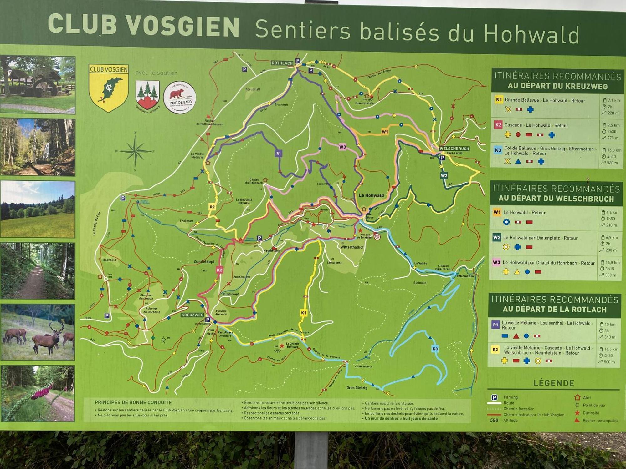 Gite Au Cours D'Eau Le Hohwald Exteriör bild