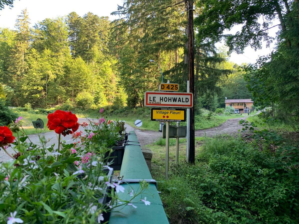 Gite Au Cours D'Eau Le Hohwald Exteriör bild